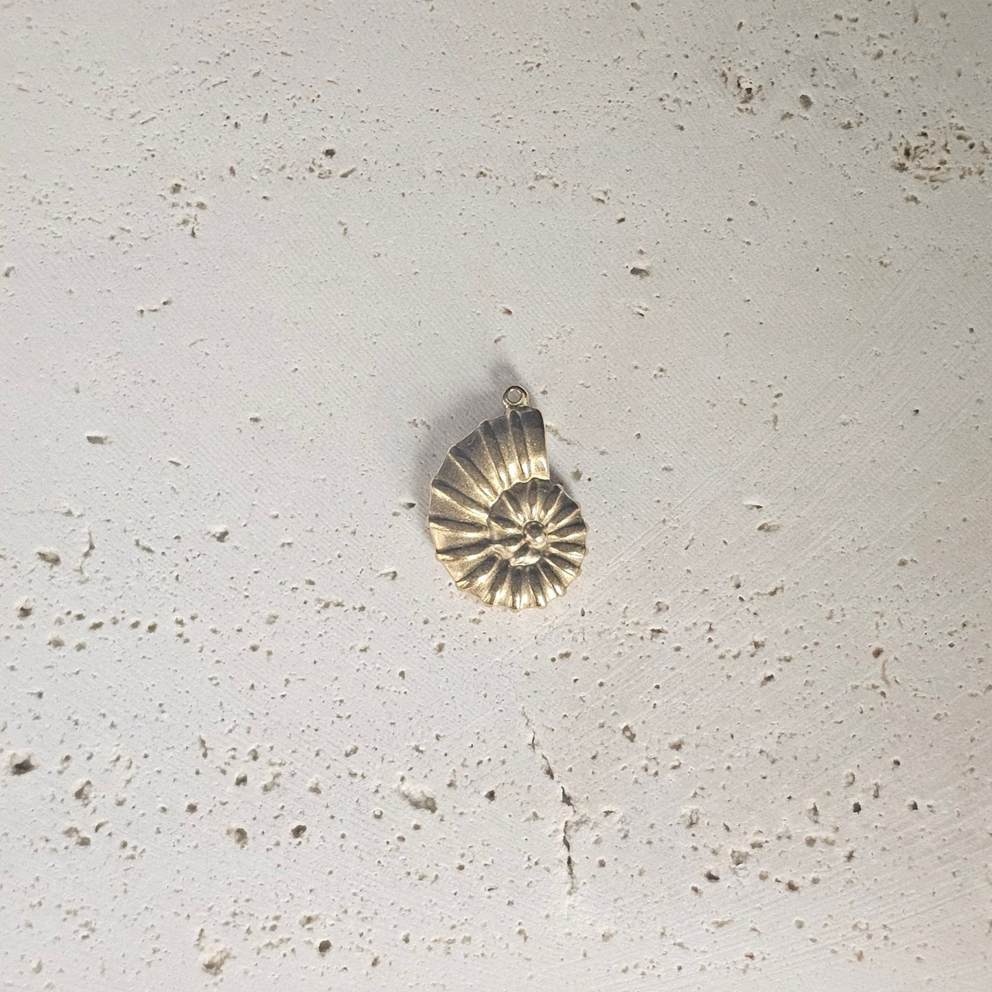 Nautilus Shell