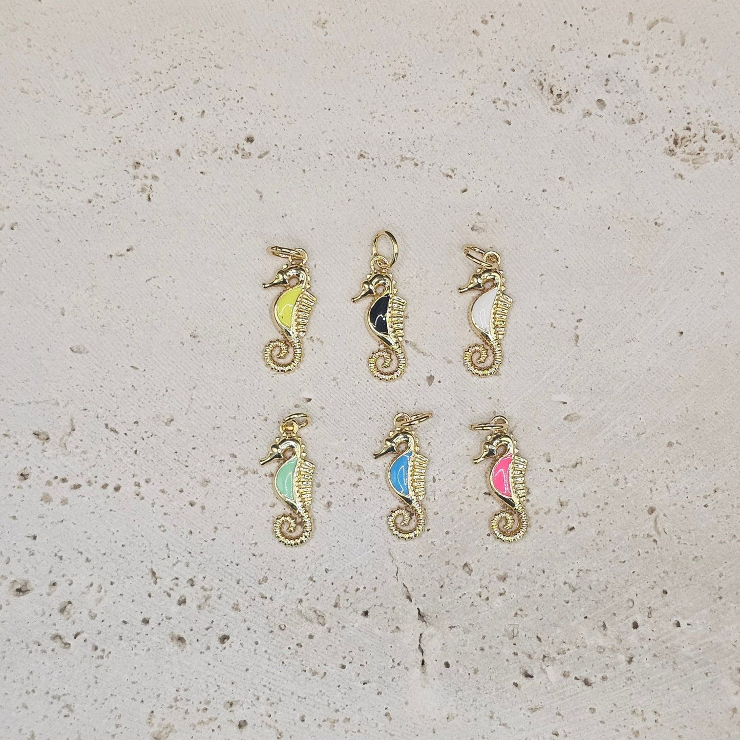 Colored Belly Seahorse