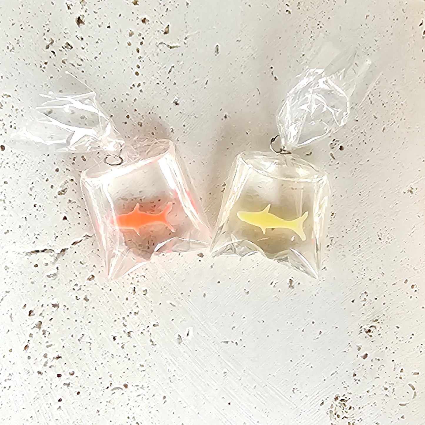 Fish in a Bag