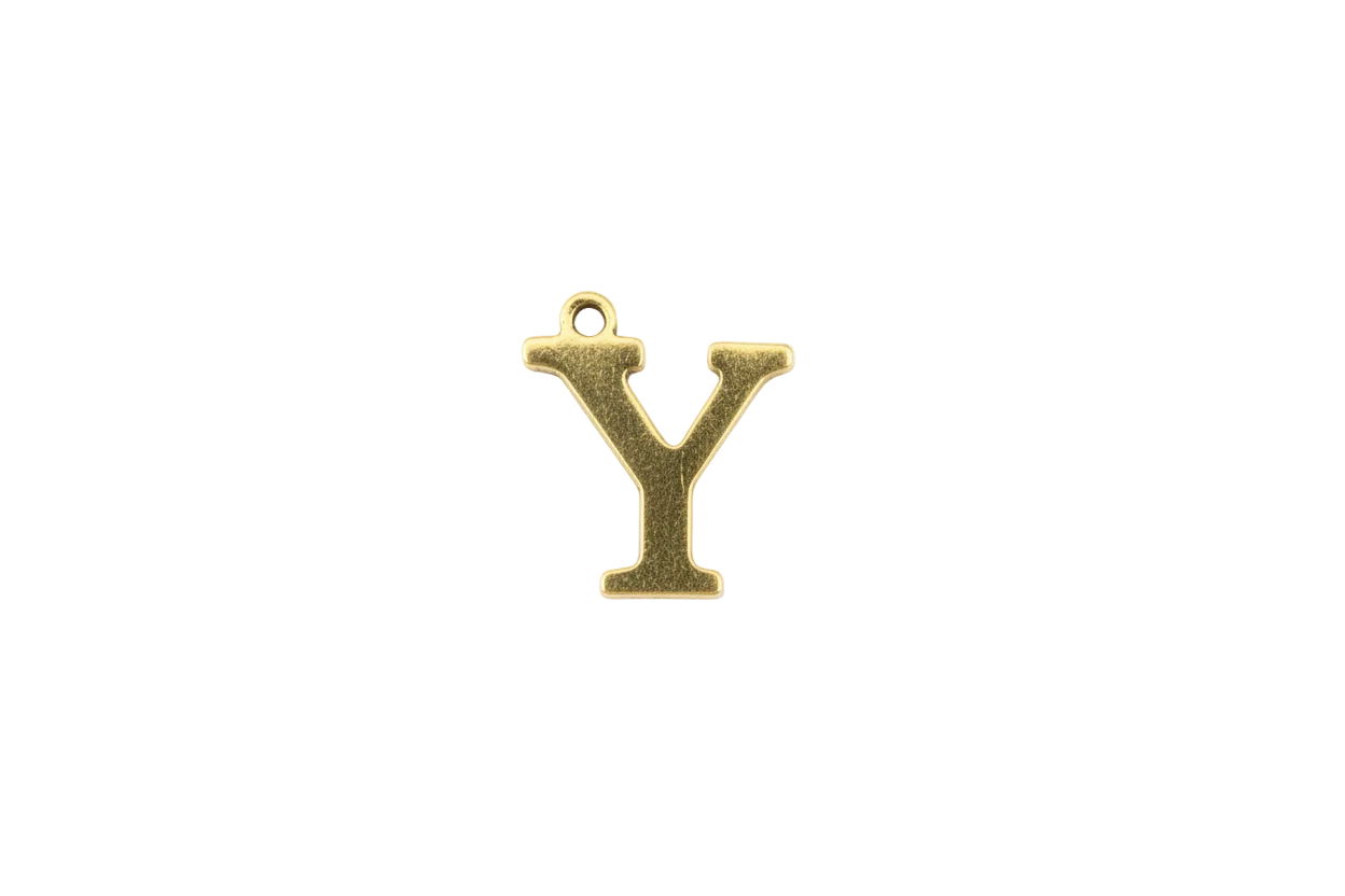 Gold letter Y initial charm, brushed finish