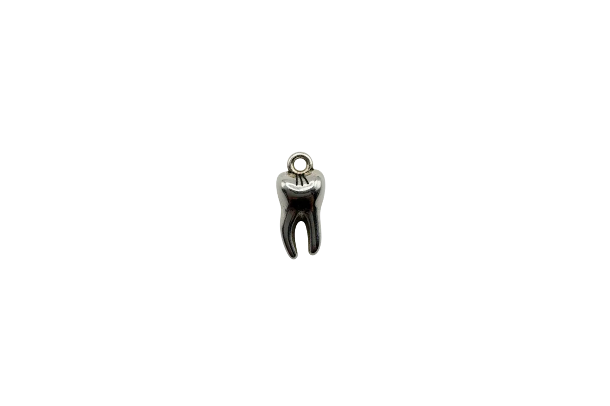 Polished silver-tone molar tooth with darkened details