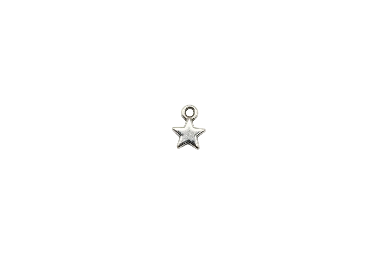 Polished silver puffy star charm