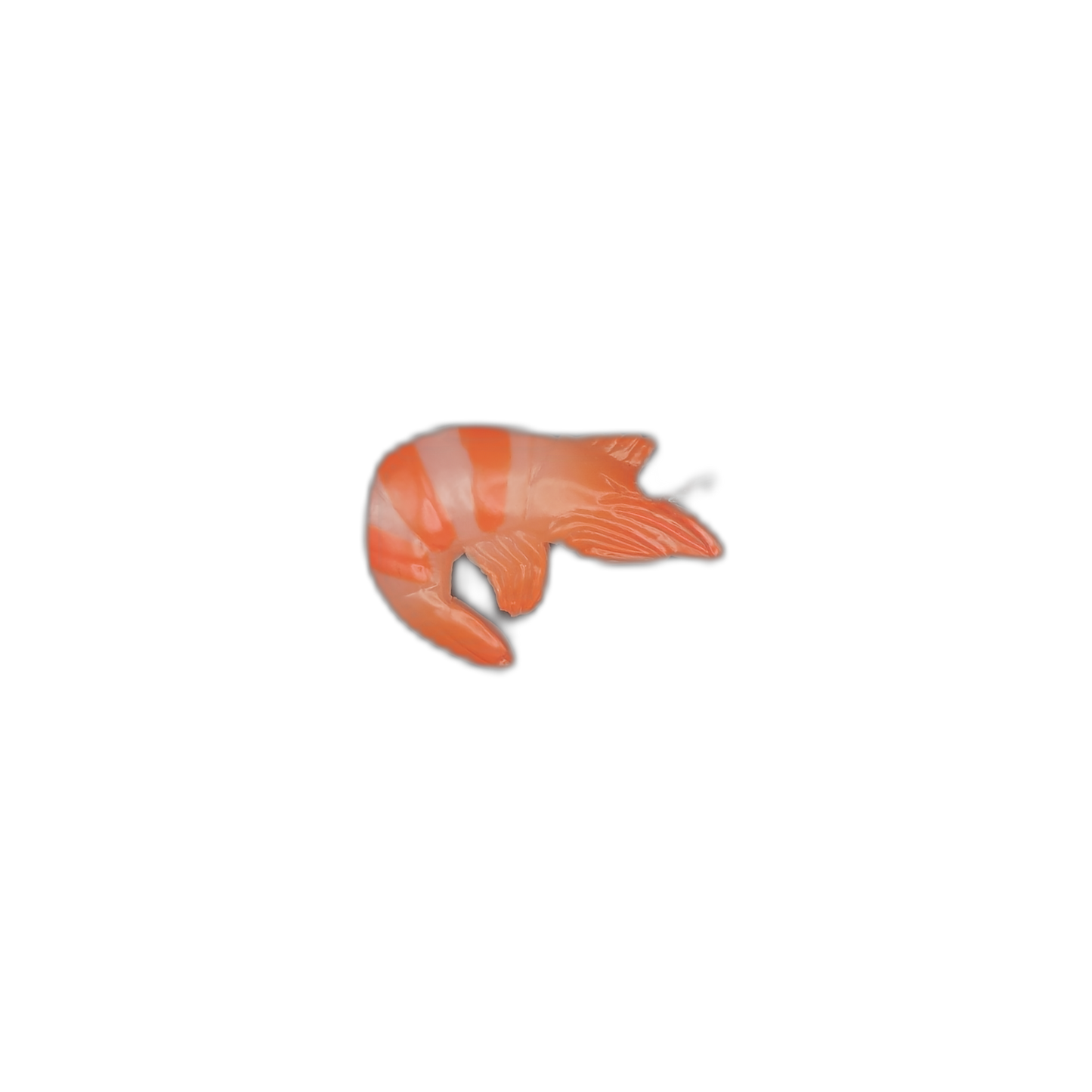 small orange striped shrimp charm centered on black background