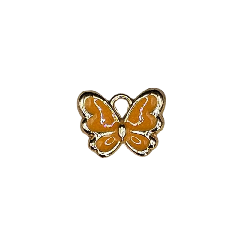 Small Colored Butterfly