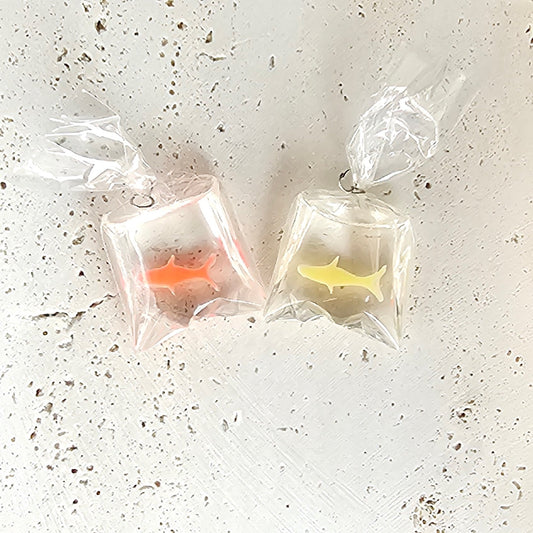 Fish in a Bag
