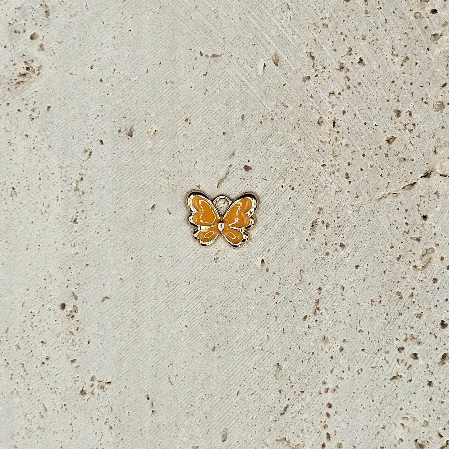 Small Colored Butterfly