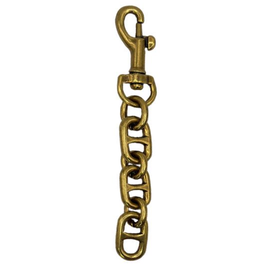 Gold chain with clasp on a white background