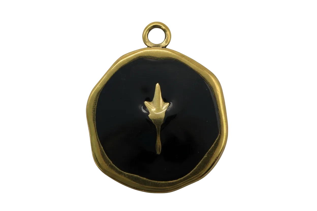 Gold-trimmed black enamel medallion with raised fleur-de-lis emblem