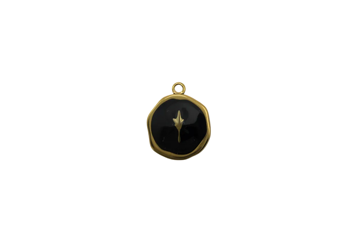 Black enamel medallion with gold fleur-de-lis