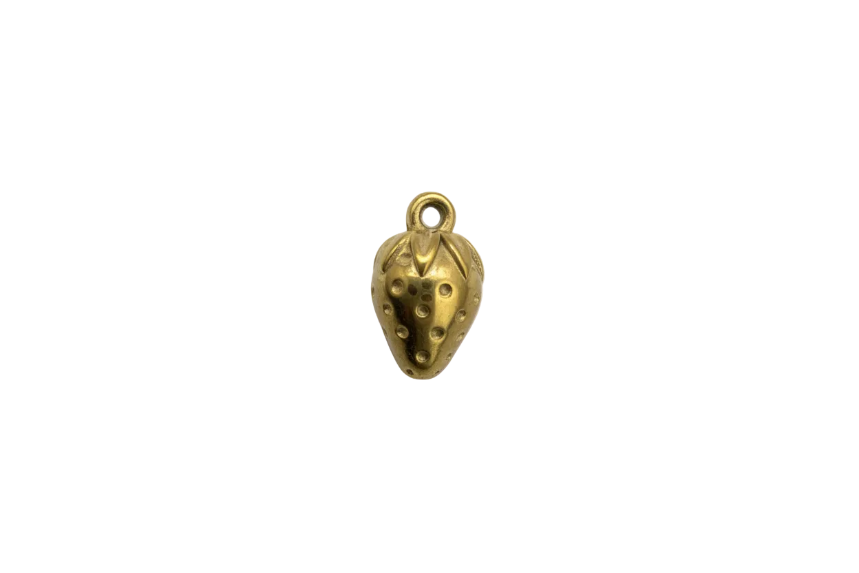 Gold ladybug beetle with raised dotted texture