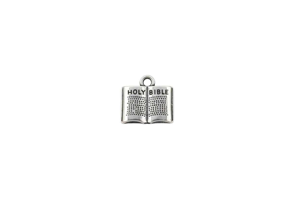 Silver open book with raised "HOLY BIBLE" lettering