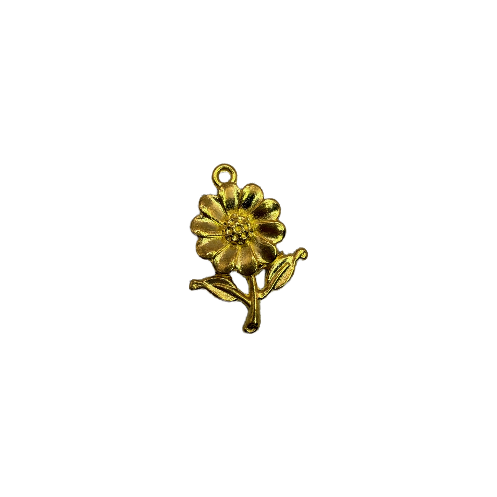Gold daisy flower with textured petals and leaves