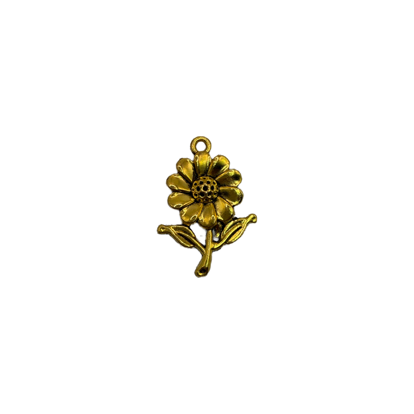 Gold daisy flower stem with leaves