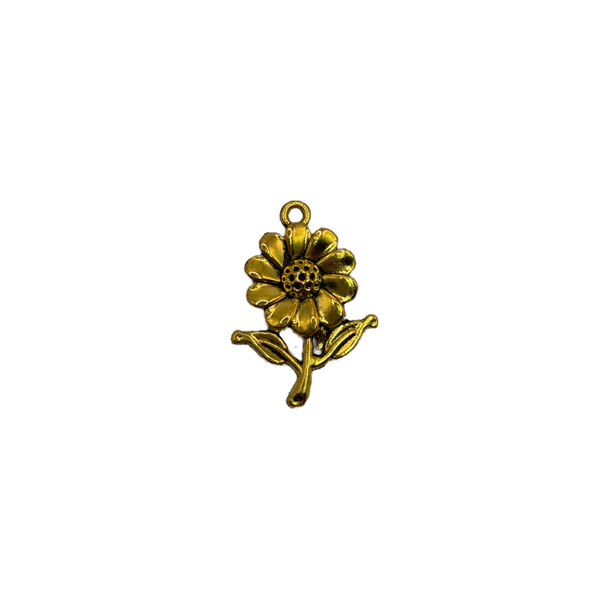 Gold daisy flower stem with leaves