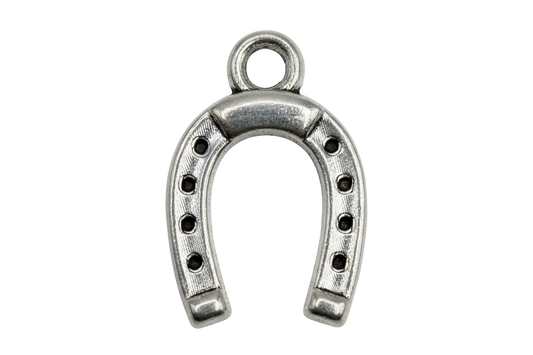Silver-tone horseshoe charm with etched texture and dark stud details