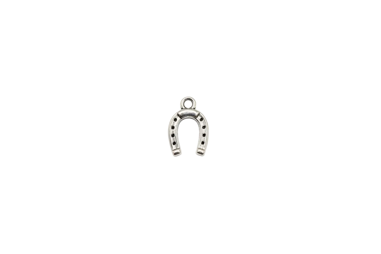 Silver-tone horseshoe with dark stud details