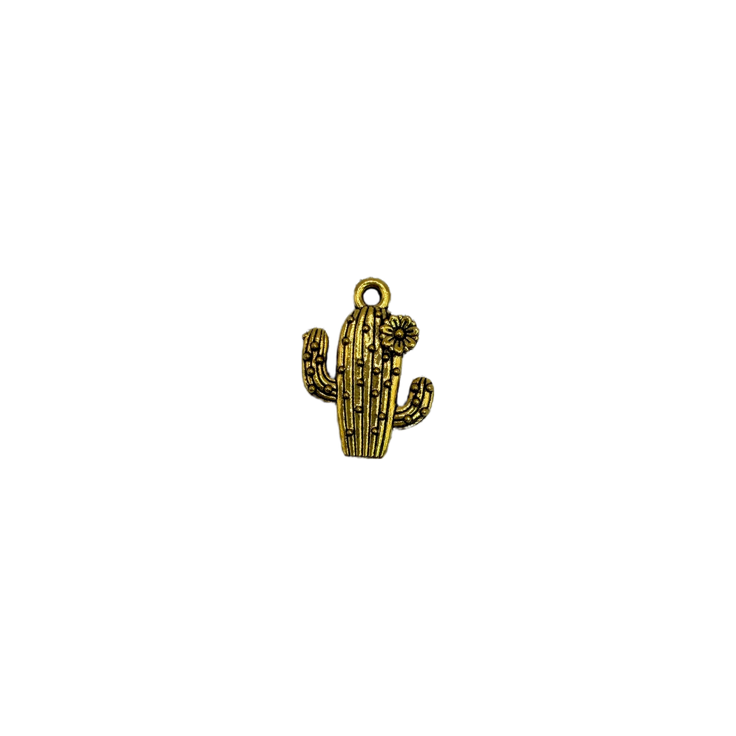 Gold cactus with textured ridges and a small flower accent