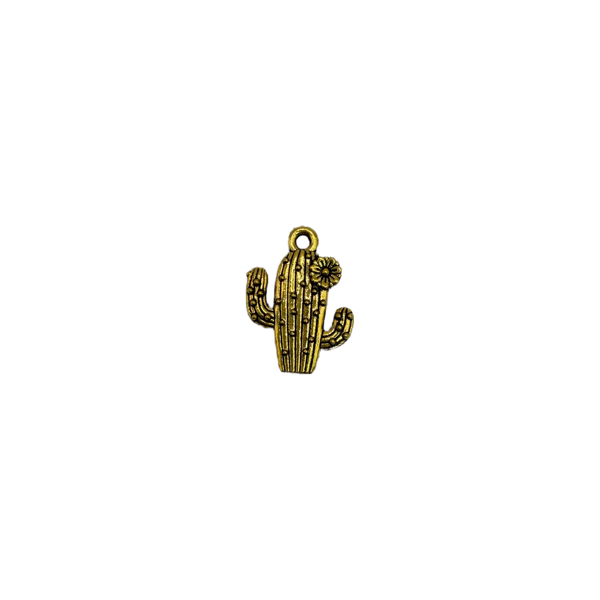 Gold cactus with textured ridges and a small flower accent