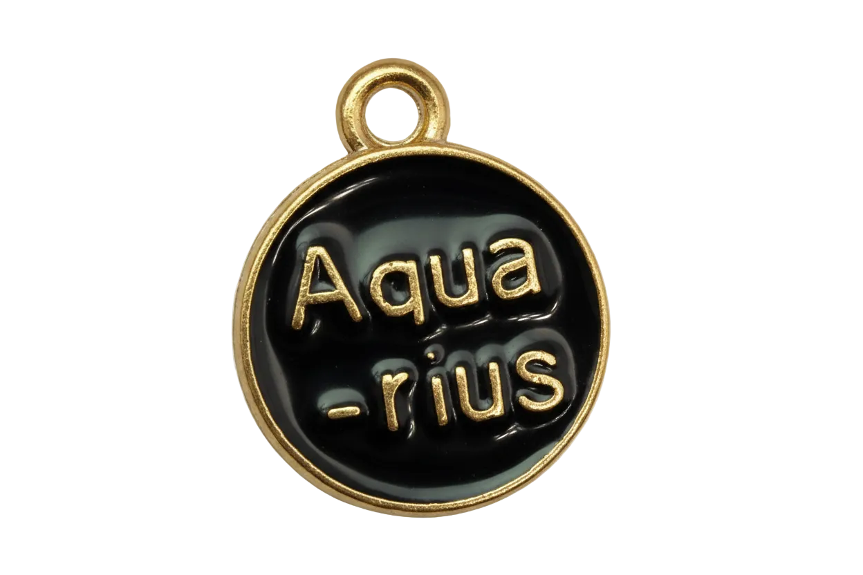 Black enamel Aquarius zodiac disc with raised gold lettering and gold rim
