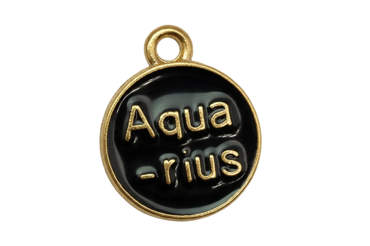Black enamel Aquarius zodiac disc with raised gold lettering and gold rim