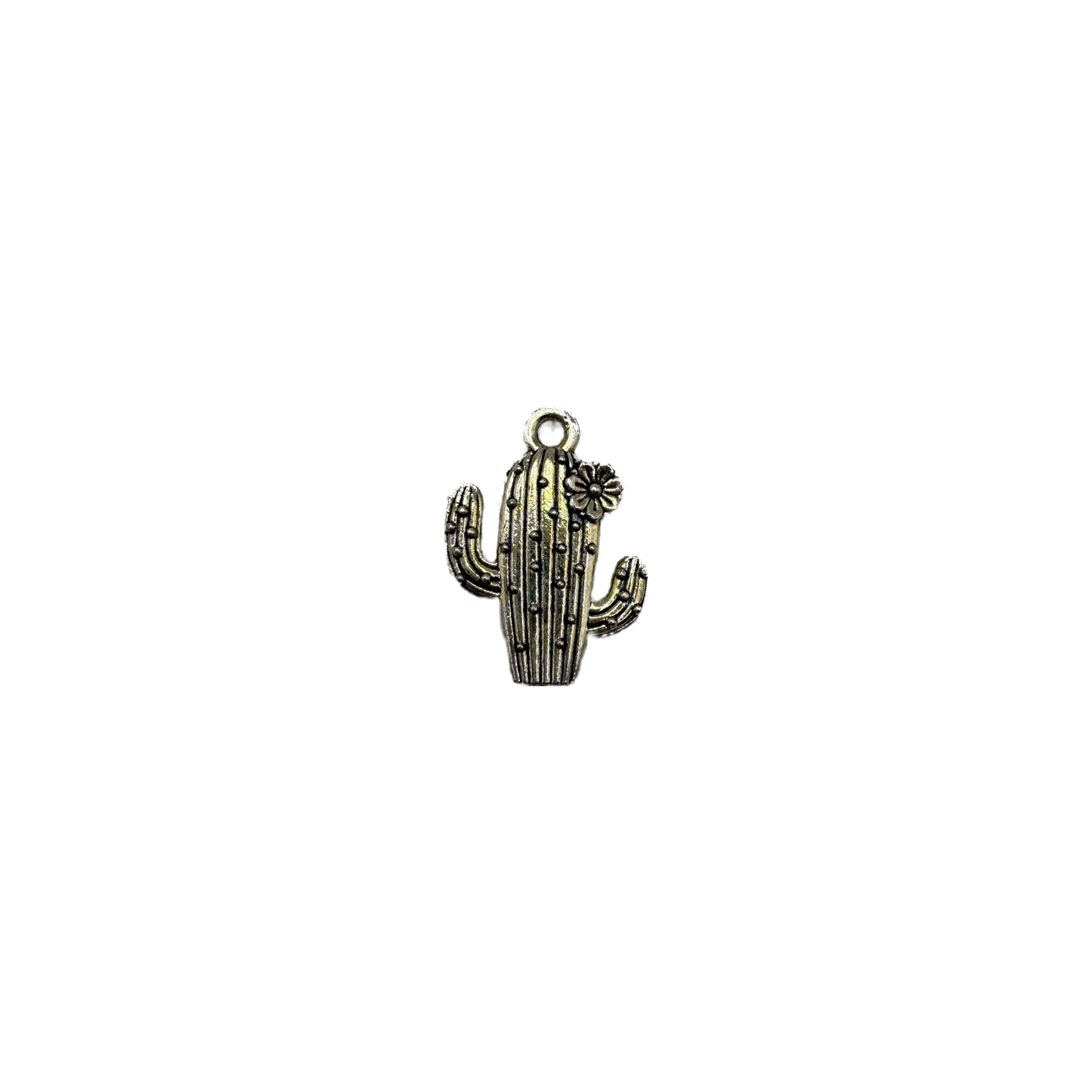 Antique silver cactus with dot texture and flower accent