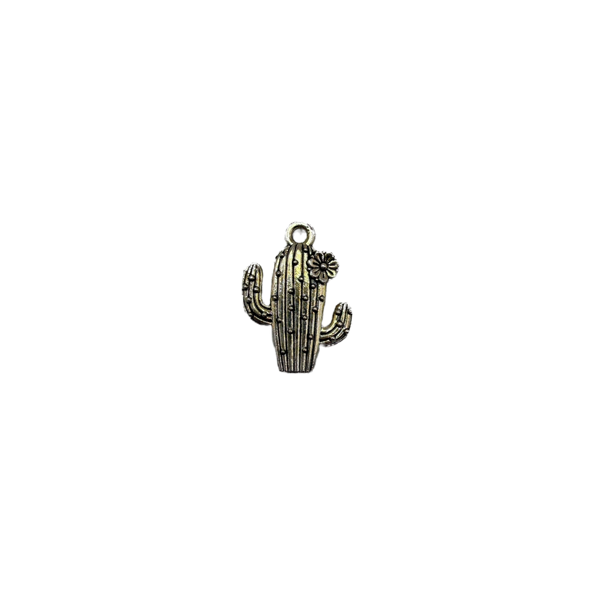 Antique silver cactus with dot texture and flower accent