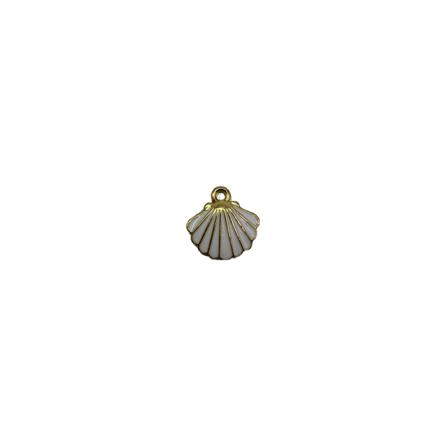 White scallop seashell with gold outlines