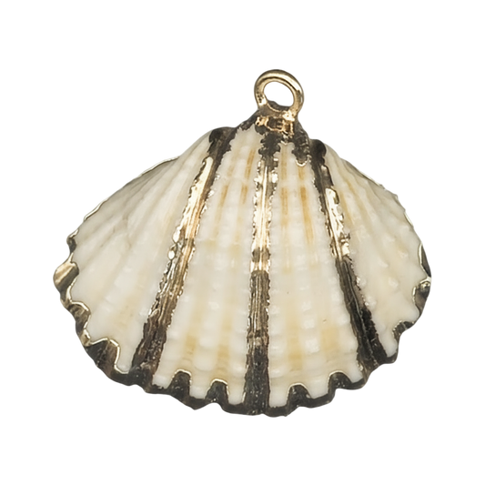 close-up of a cream and gold scallop shell charm on a black background
