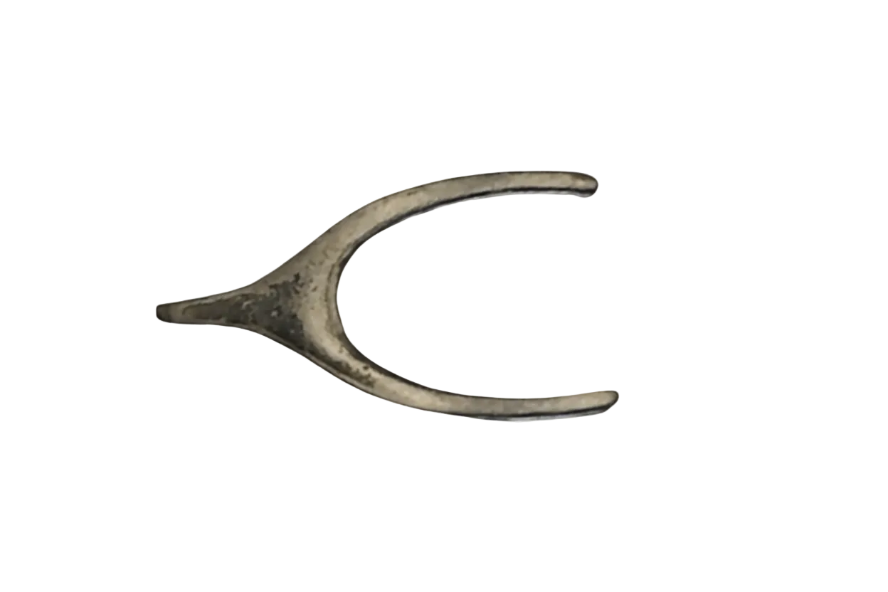 close-up of small metallic wishbone charm on black background