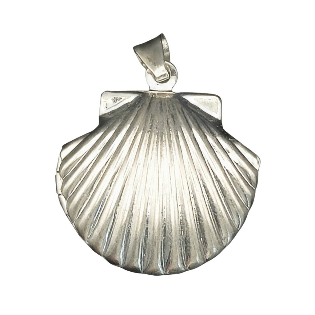 close-up of silver scallop shell pendant on black background