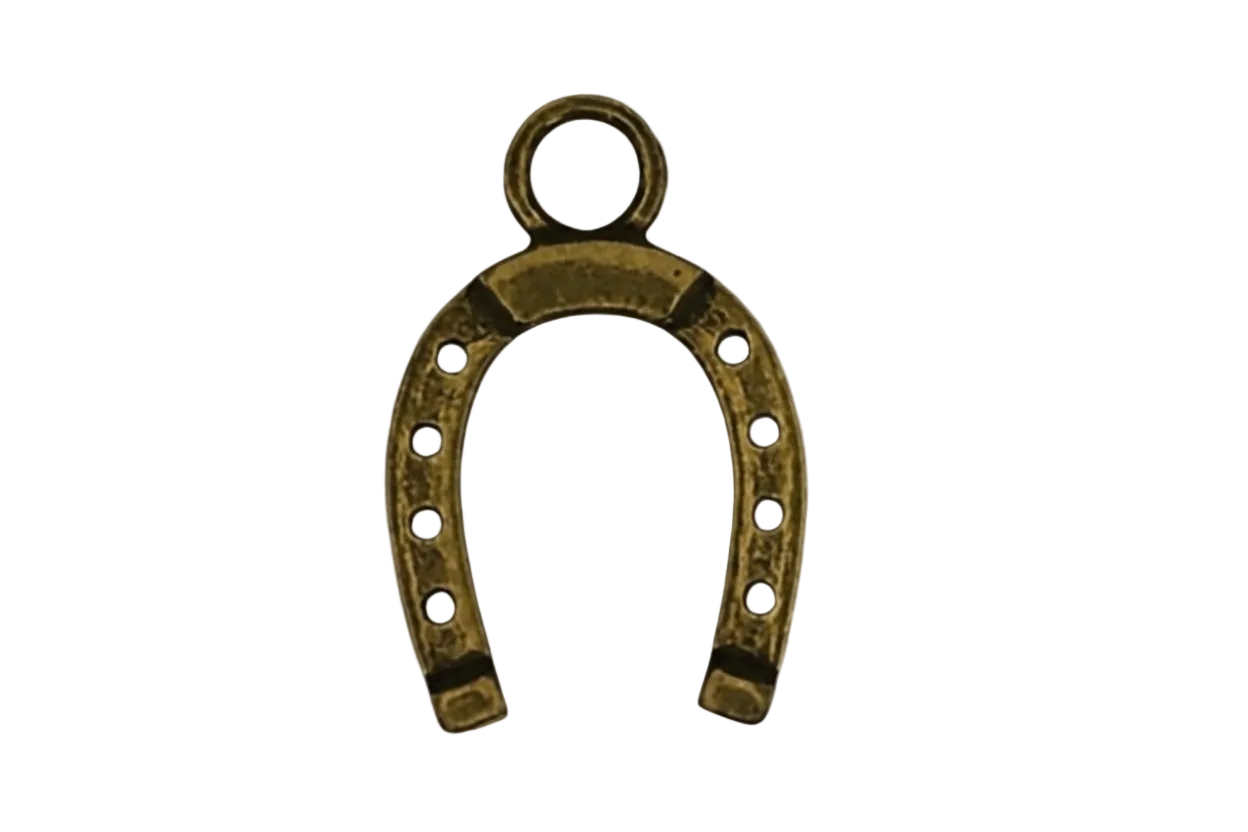 close-up of gold-tone horseshoe charm with dot details on a black background