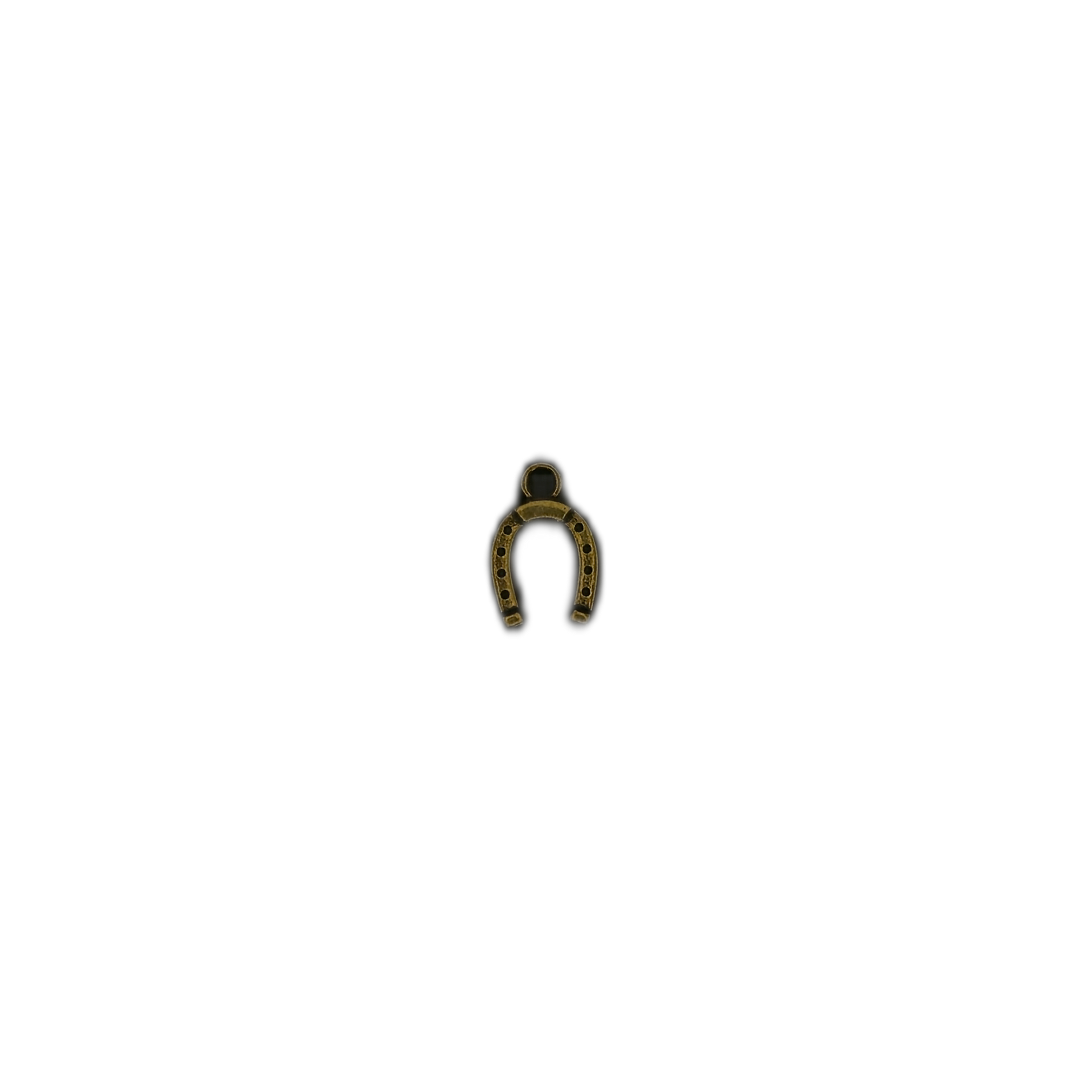 small gold-tone horseshoe charm on a black background