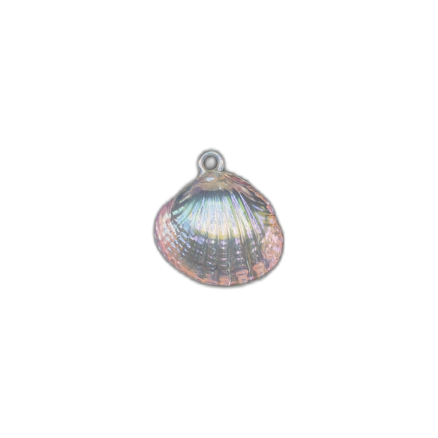 Small iridescent seashell charm centered on a black background.